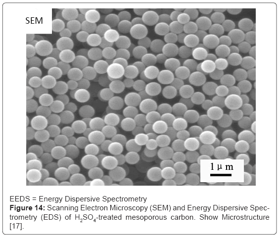 biotechnology-biomaterials-Scanning-Electron-Microscopy