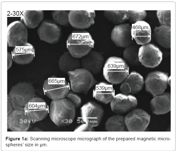 biotechnology-biomaterials-Scanning-microscope