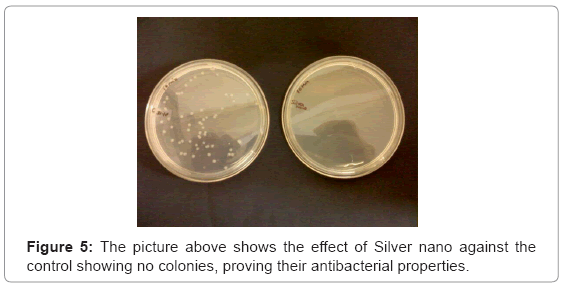 biotechnology-biomaterials-Silver-nano