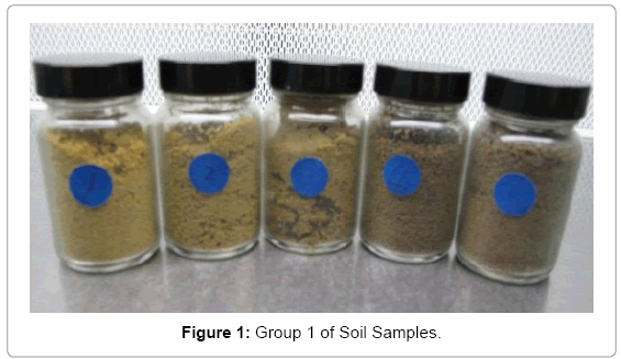 biotechnology-biomaterials-Soil-Samples