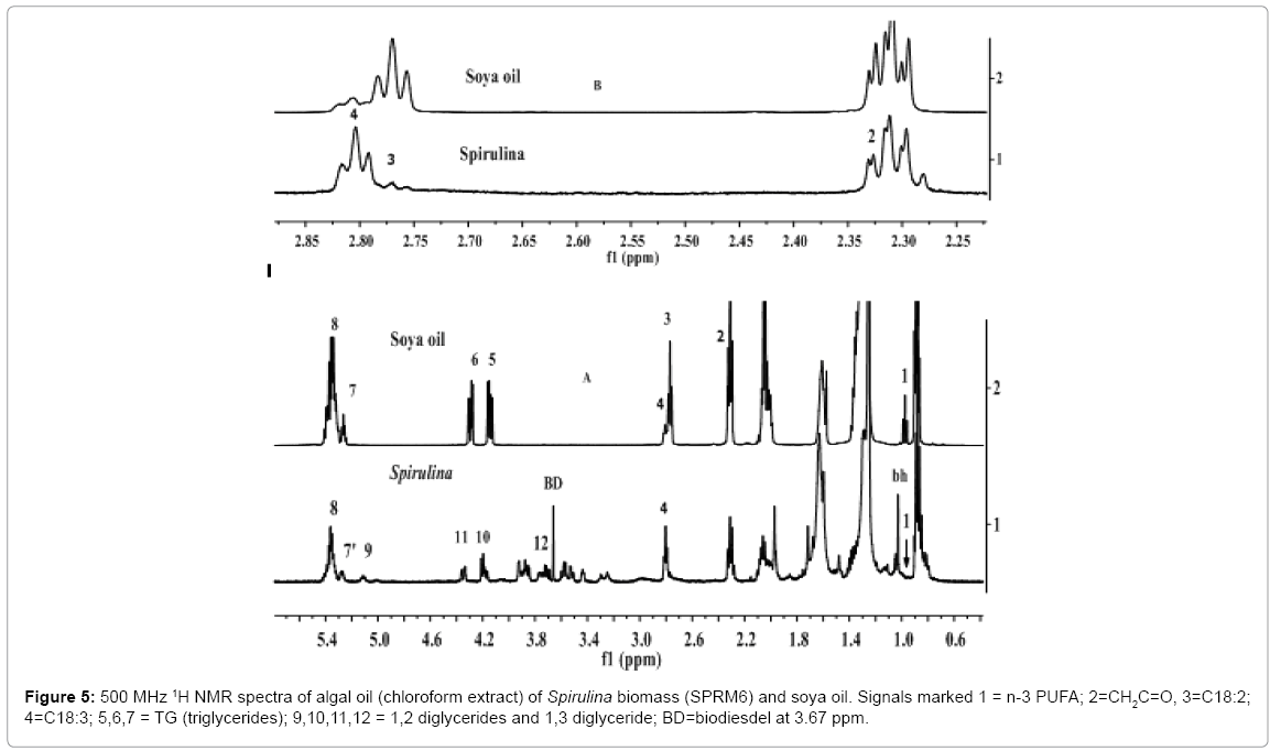 biotechnology-biomaterials-Spirulina-biomass