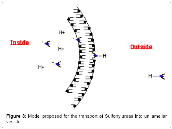 biotechnology-biomaterials-Sulfonylureas