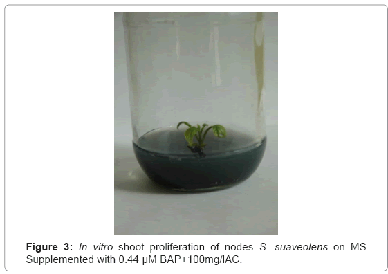 biotechnology-biomaterials-Supplemented