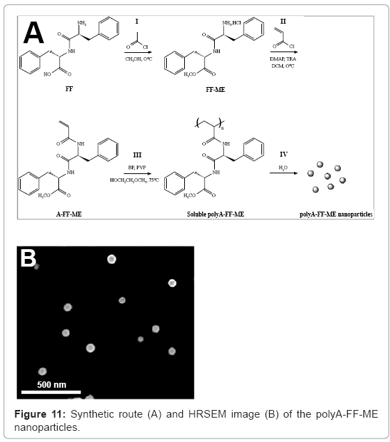 biotechnology-biomaterials-Synthetic-route