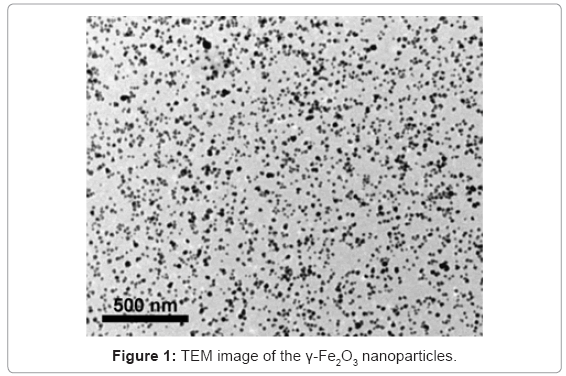 biotechnology-biomaterials-TEM-image