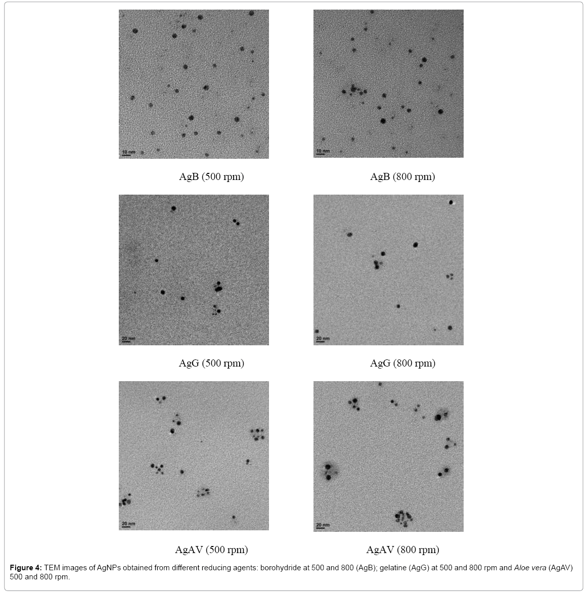 biotechnology-biomaterials-TEM-images