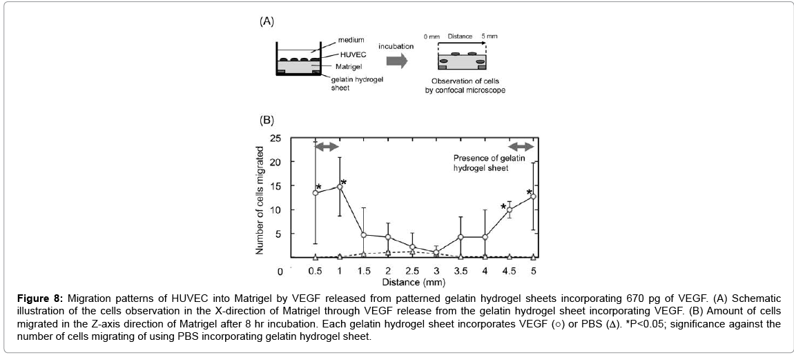 biotechnology-biomaterials-VEGF-released