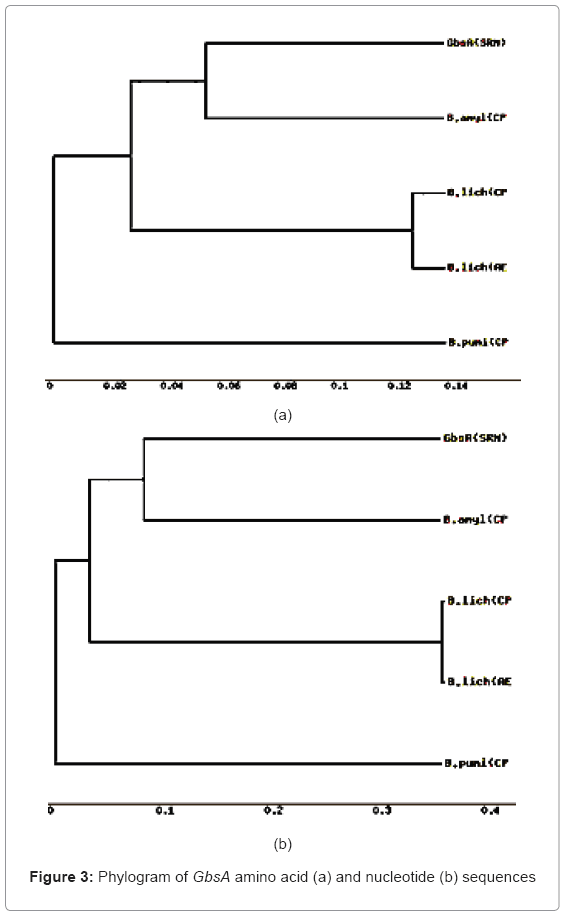 biotechnology-biomaterials-amino-acid