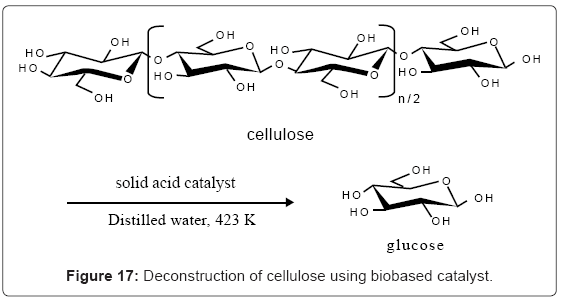 biotechnology-biomaterials-biobased-catalyst