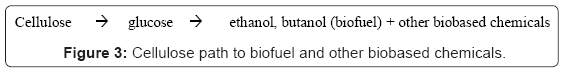 biotechnology-biomaterials-biobased-chemicals