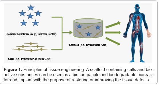 biotechnology-biomaterials-biocompatible