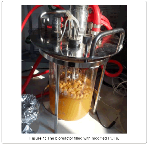 biotechnology-biomaterials-bioreactor-filled