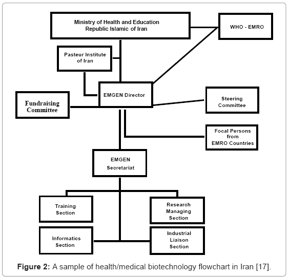 biotechnology-biomaterials-biotechnology-flowchart