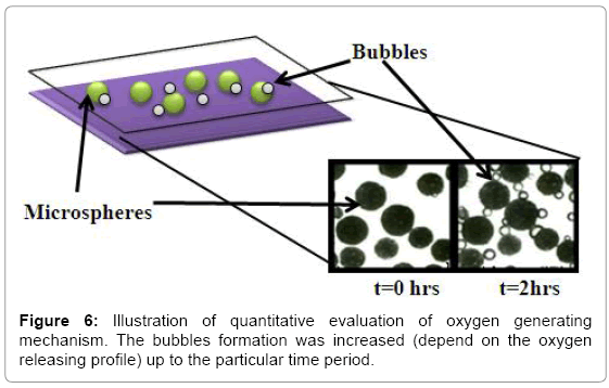 biotechnology-biomaterials-bubbles-formation