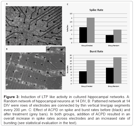 biotechnology-biomaterials-burst-rates