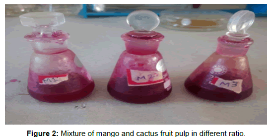 biotechnology-biomaterials-cactus-fruit