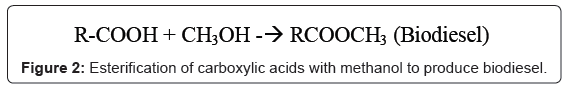 biotechnology-biomaterials-carboxylic-acids