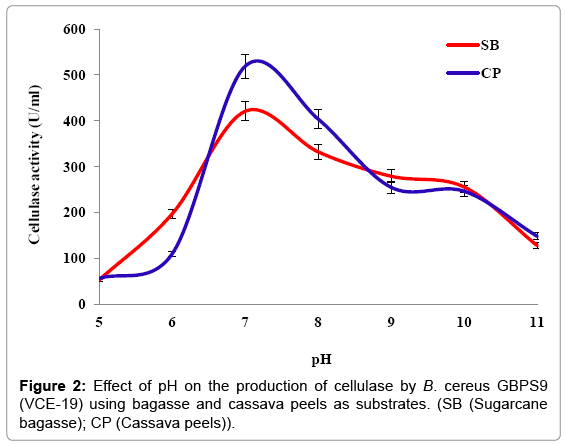 biotechnology-biomaterials-cassava-peels