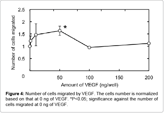 biotechnology-biomaterials-cells-migrated