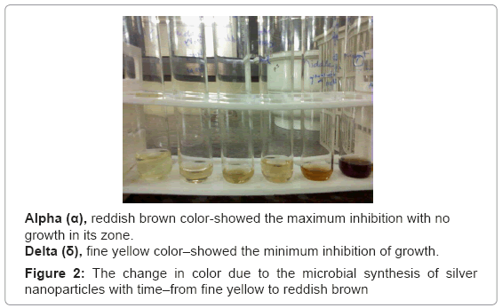 biotechnology-biomaterials-change-color