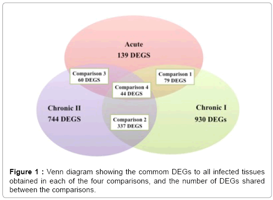 biotechnology-biomaterials-commom-DEGs