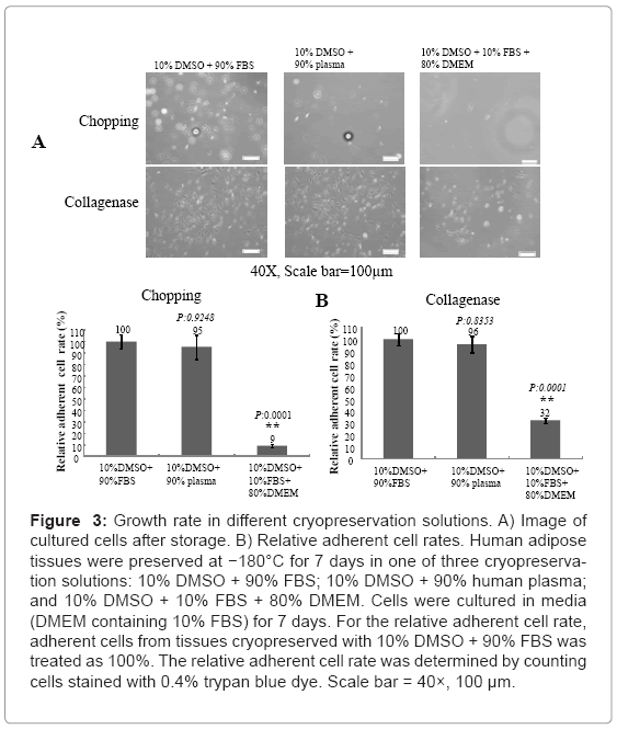 biotechnology-biomaterials-cryopreservation
