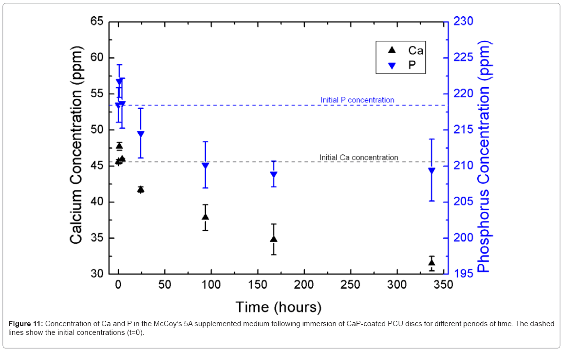 biotechnology-biomaterials-different-periods-time