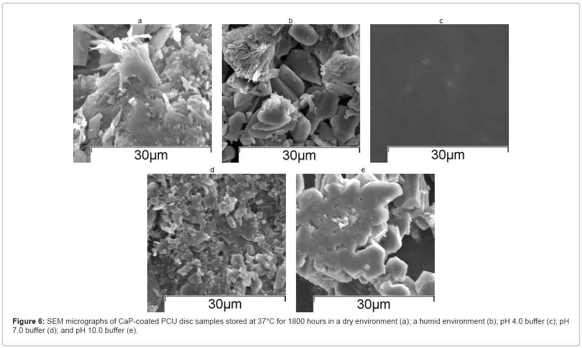 biotechnology-biomaterials-dry-environment