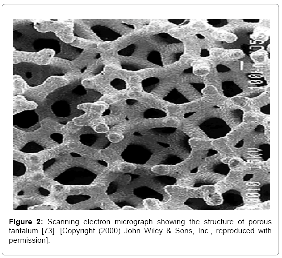 biotechnology-biomaterials-electron-micrograph