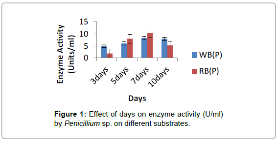 biotechnology-biomaterials-enzyme-activity