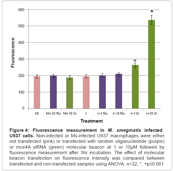 biotechnology-biomaterials-fluorescence-intensity
