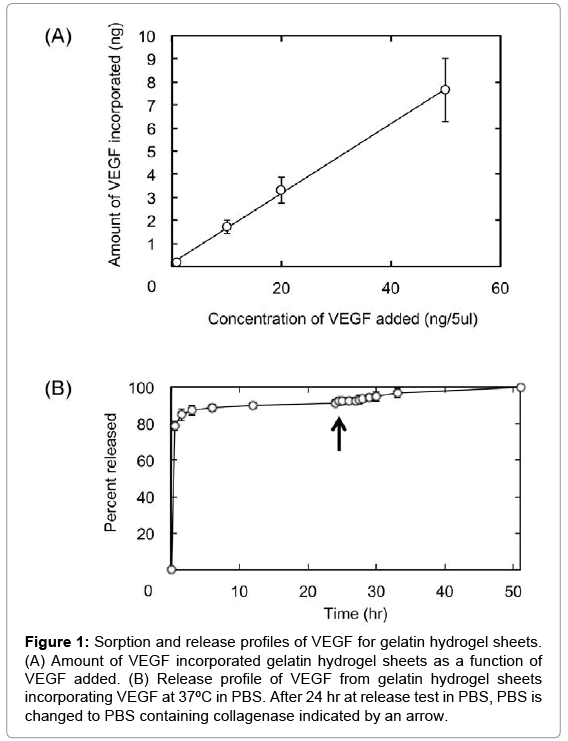 biotechnology-biomaterials-gelatin-hydrogel