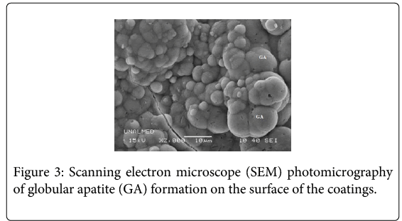 biotechnology-biomaterials-globular-apatite