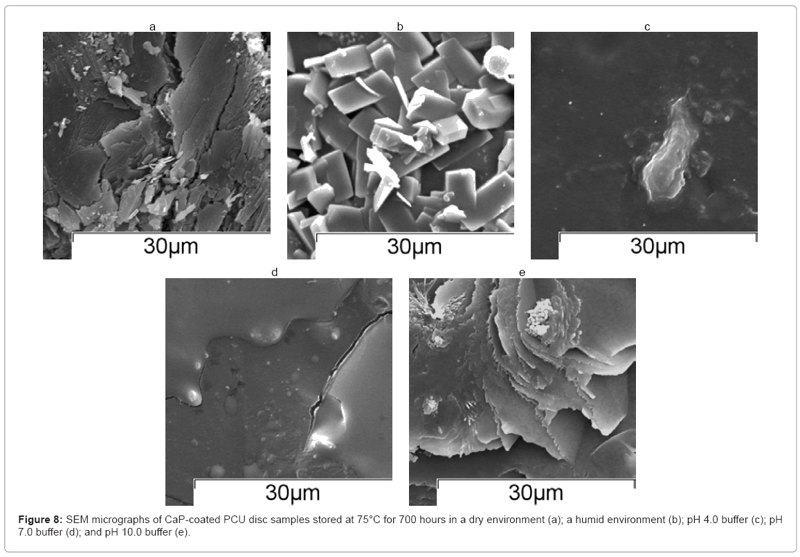 biotechnology-biomaterials-humid-environment
