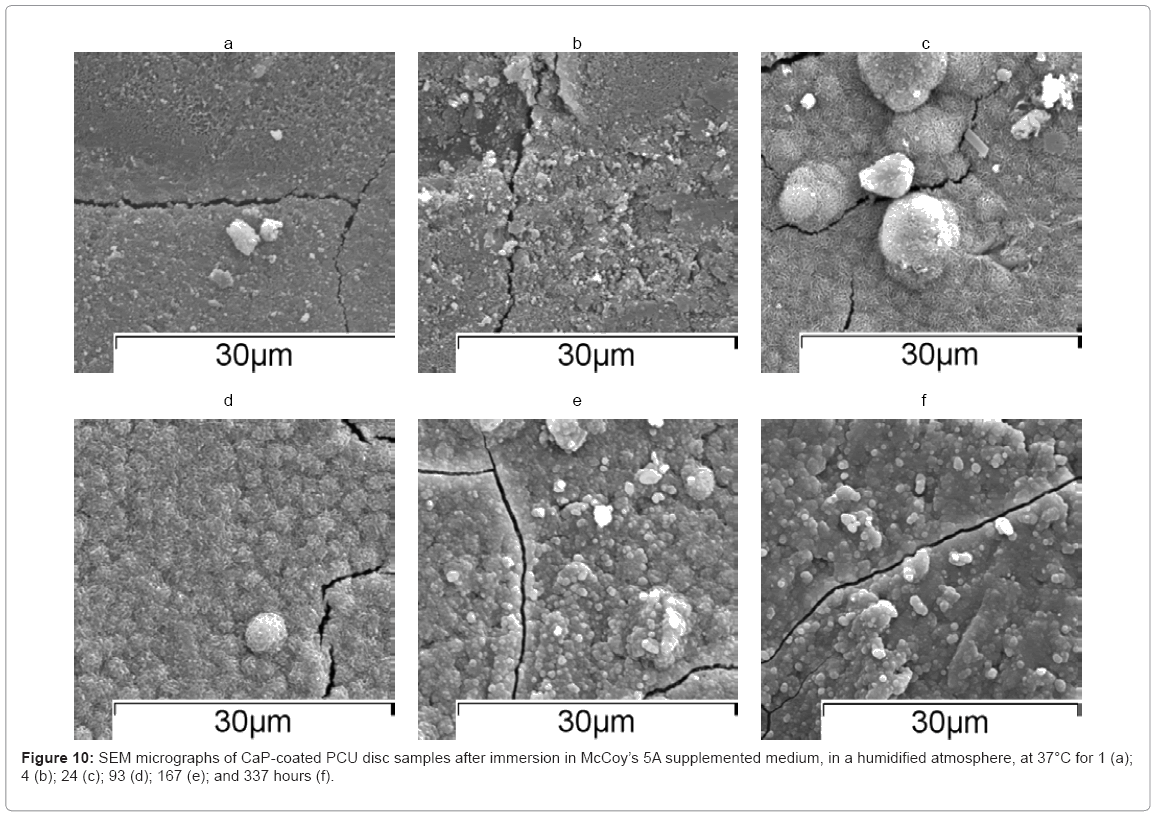 biotechnology-biomaterials-humidified-atmosphere