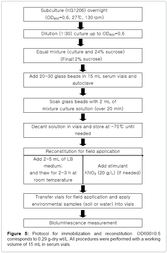 biotechnology-biomaterials-immobilization-reconstitution