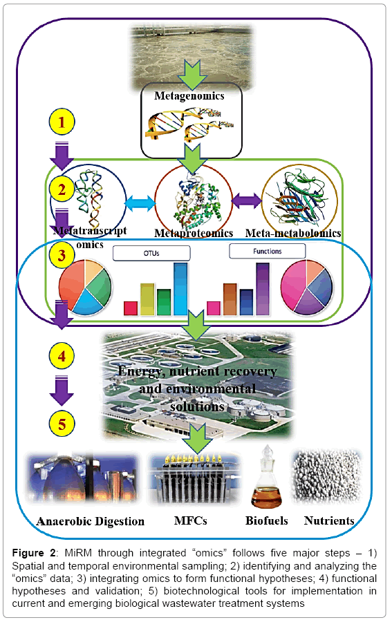 biotechnology-biomaterials-integrating-omics