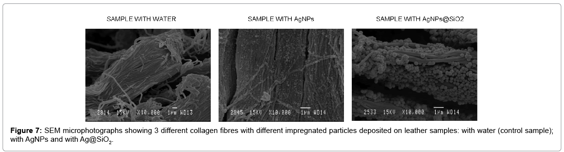 biotechnology-biomaterials-leather-samples