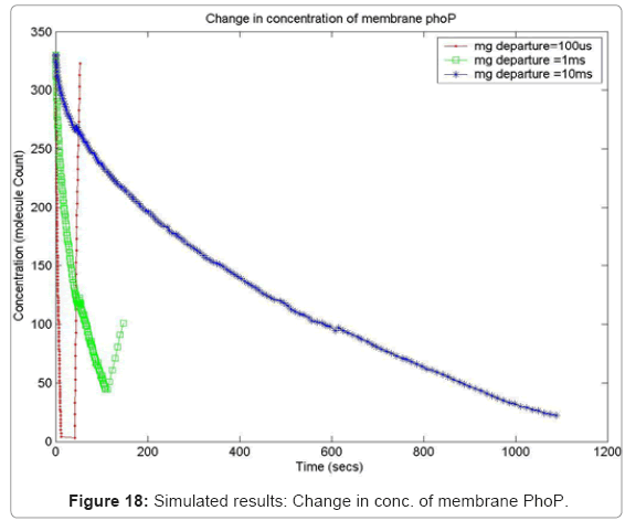biotechnology-biomaterials-membrane-PhoP