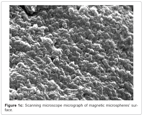 biotechnology-biomaterials-microscope-micrograph