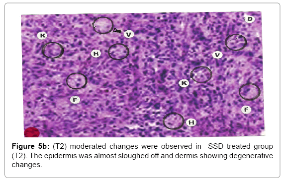 biotechnology-biomaterials-moderated-changes