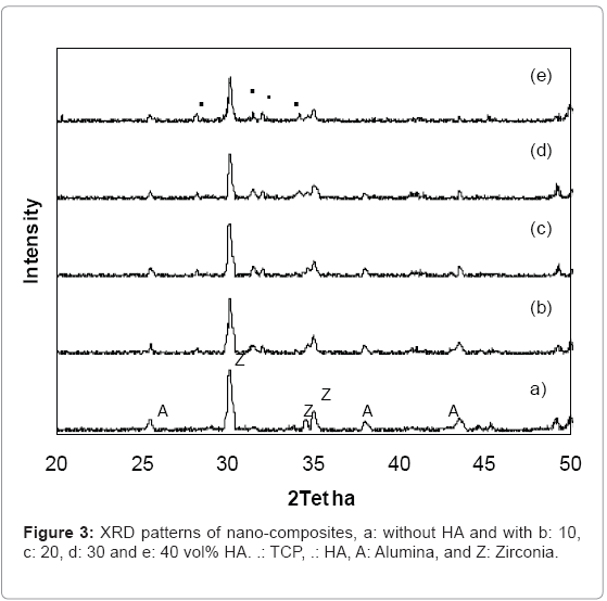 biotechnology-biomaterials-nano-composites