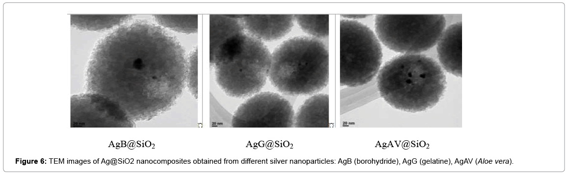 biotechnology-biomaterials-nanocomposites