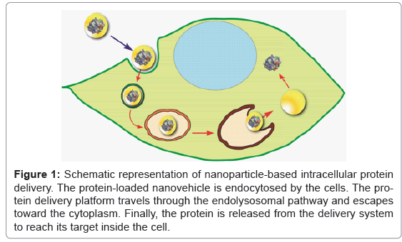 biotechnology-biomaterials-nanoparticle-based
