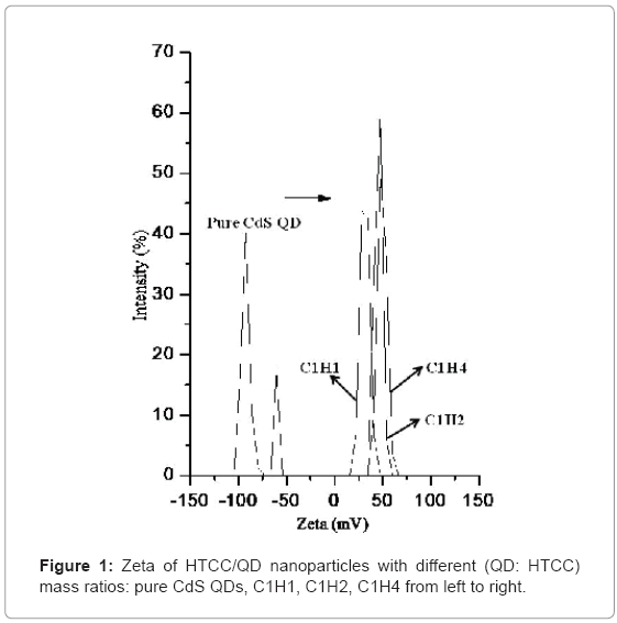 biotechnology-biomaterials-nanoparticles