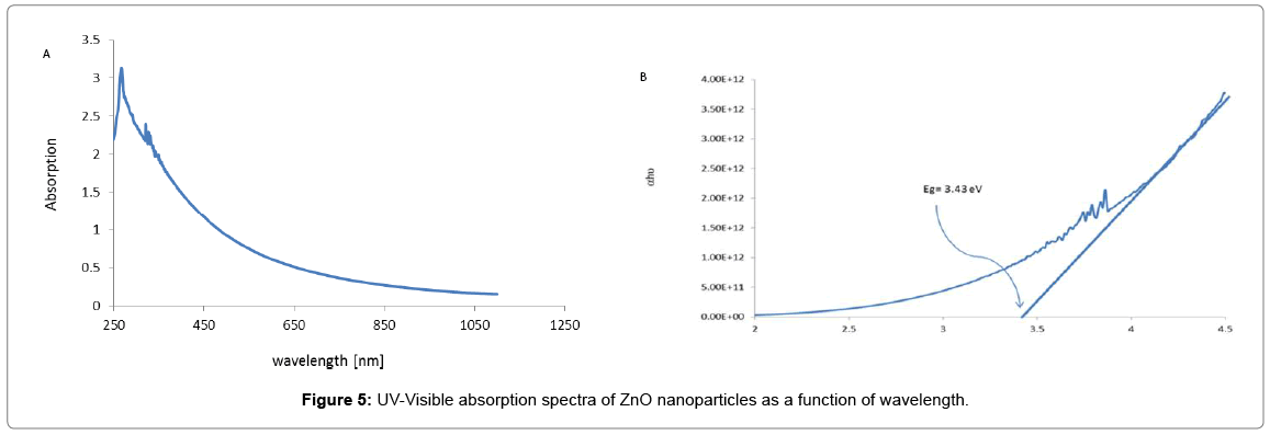 biotechnology-biomaterials-nanoparticles