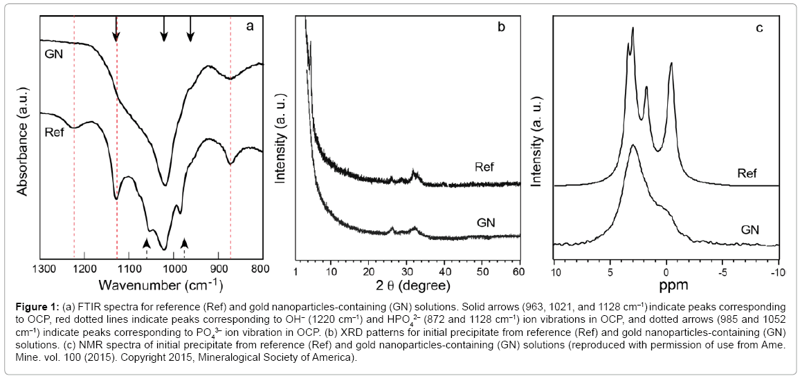 biotechnology-biomaterials-nanoparticles-containing