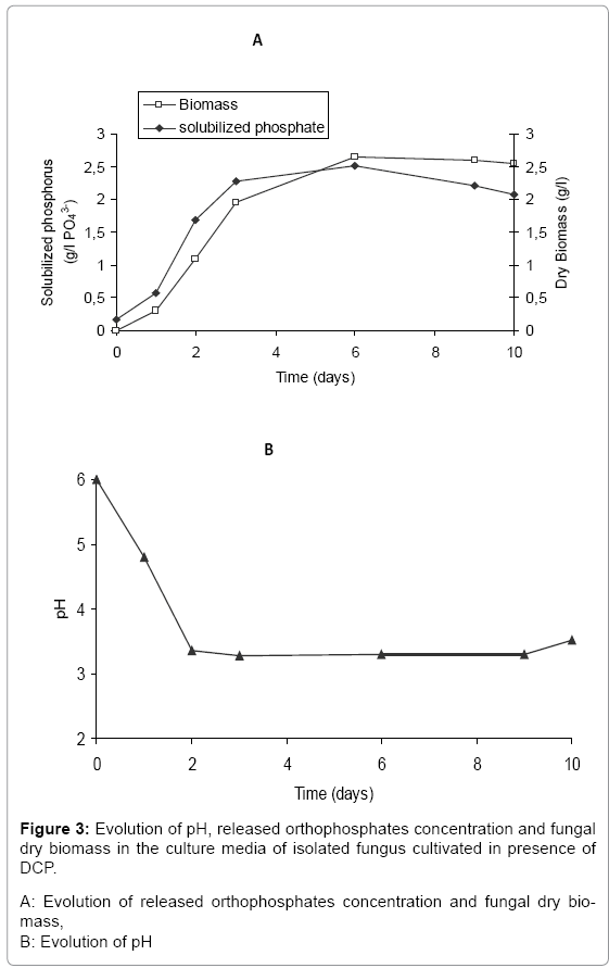 biotechnology-biomaterials-orthophosphates-concentration