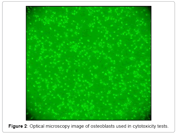 biotechnology-biomaterials-osteoblasts