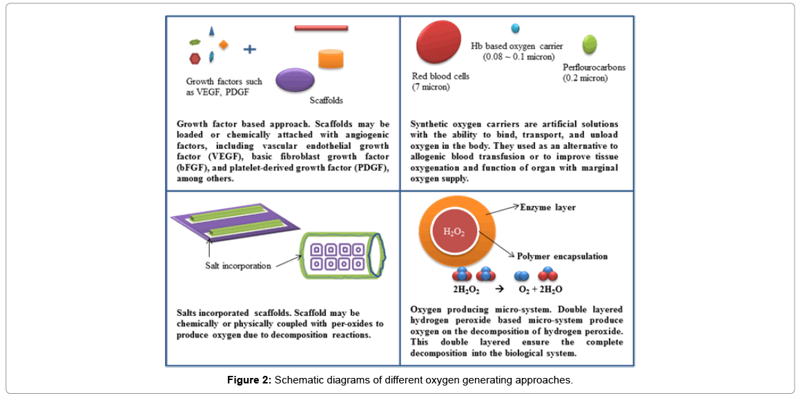 biotechnology-biomaterials-oxygen-generating